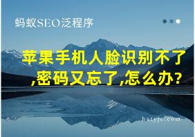 苹果手机人脸识别不了,密码又忘了,怎么办?