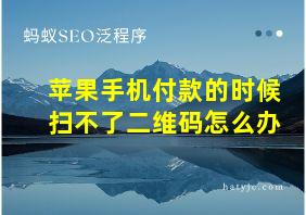 苹果手机付款的时候扫不了二维码怎么办