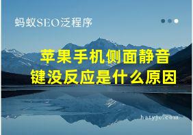 苹果手机侧面静音键没反应是什么原因