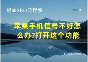 苹果手机信号不好怎么办?打开这个功能