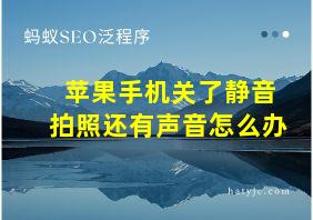 苹果手机关了静音拍照还有声音怎么办