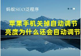 苹果手机关掉自动调节亮度为什么还会自动调节