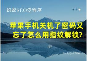 苹果手机关机了密码又忘了怎么用指纹解锁?