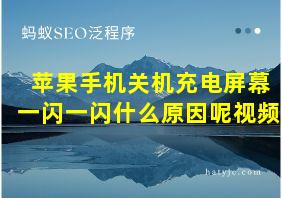 苹果手机关机充电屏幕一闪一闪什么原因呢视频