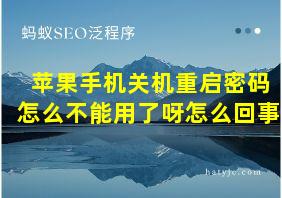 苹果手机关机重启密码怎么不能用了呀怎么回事