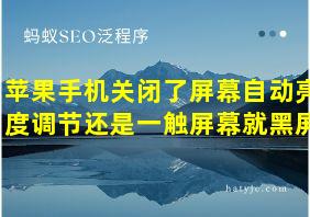 苹果手机关闭了屏幕自动亮度调节还是一触屏幕就黑屏