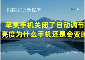 苹果手机关闭了自动调节亮度为什么手机还是会变暗