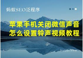 苹果手机关闭微信声音怎么设置铃声视频教程