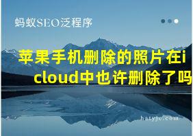 苹果手机删除的照片在icloud中也许删除了吗