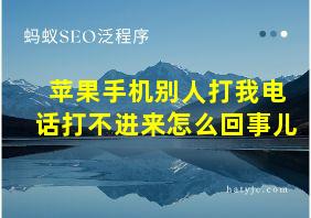 苹果手机别人打我电话打不进来怎么回事儿