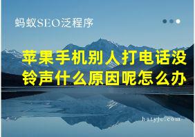 苹果手机别人打电话没铃声什么原因呢怎么办