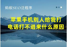 苹果手机别人给我打电话打不进来什么原因