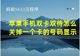 苹果手机双卡双待怎么关掉一个卡的号码显示