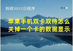 苹果手机双卡双待怎么关掉一个卡的数据显示