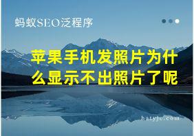 苹果手机发照片为什么显示不出照片了呢