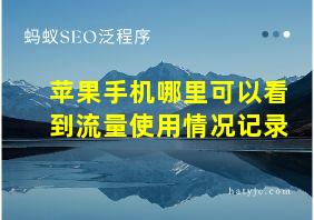 苹果手机哪里可以看到流量使用情况记录