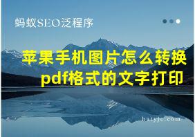 苹果手机图片怎么转换pdf格式的文字打印