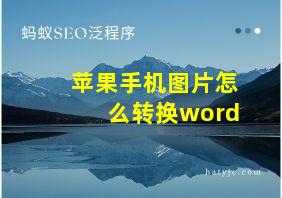 苹果手机图片怎么转换word