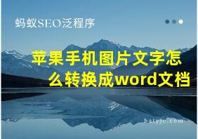 苹果手机图片文字怎么转换成word文档