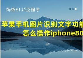 苹果手机图片识别文字功能怎么操作iphone80