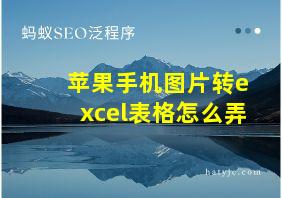 苹果手机图片转excel表格怎么弄