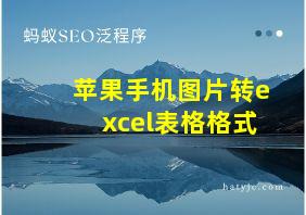 苹果手机图片转excel表格格式