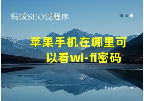 苹果手机在哪里可以看wi-fi密码