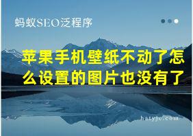 苹果手机壁纸不动了怎么设置的图片也没有了