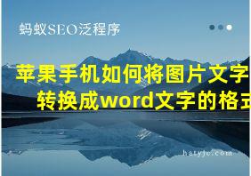 苹果手机如何将图片文字转换成word文字的格式