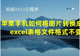 苹果手机如何将图片转换成excel表格文件格式不变