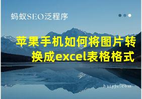 苹果手机如何将图片转换成excel表格格式