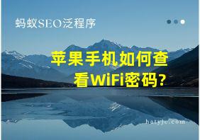 苹果手机如何查看WiFi密码?