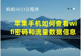 苹果手机如何查看wifi密码和流量数据信息