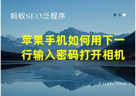 苹果手机如何用下一行输入密码打开相机