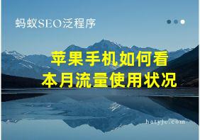 苹果手机如何看本月流量使用状况