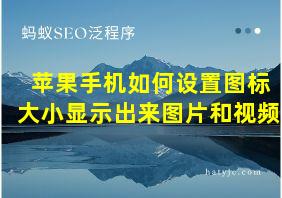 苹果手机如何设置图标大小显示出来图片和视频