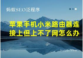 苹果手机小米路由器连接上但上不了网怎么办