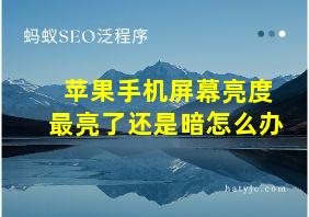 苹果手机屏幕亮度最亮了还是暗怎么办