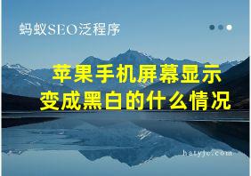 苹果手机屏幕显示变成黑白的什么情况