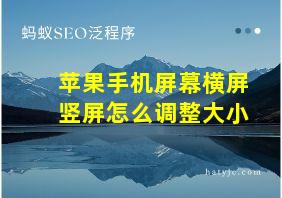 苹果手机屏幕横屏竖屏怎么调整大小