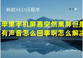 苹果手机屏幕突然黑屏但是有声音怎么回事啊怎么解决