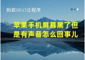 苹果手机屏幕黑了但是有声音怎么回事儿