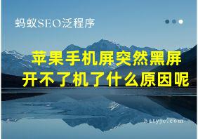 苹果手机屏突然黑屏开不了机了什么原因呢