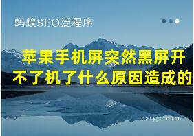 苹果手机屏突然黑屏开不了机了什么原因造成的