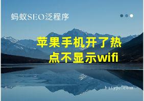 苹果手机开了热点不显示wifi