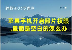 苹果手机开启照片权限,里面是空白的怎么办