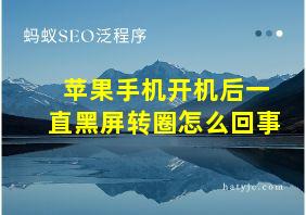 苹果手机开机后一直黑屏转圈怎么回事