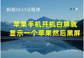 苹果手机开机白屏就显示一个苹果然后黑屏