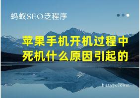 苹果手机开机过程中死机什么原因引起的