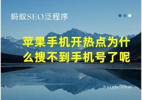 苹果手机开热点为什么搜不到手机号了呢